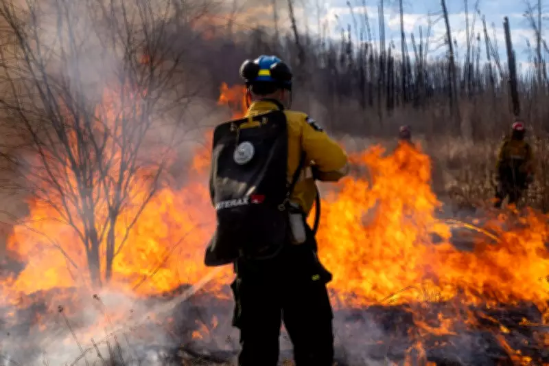 Alberta Wildfire Preparations Intensify as Critical Spring Weeks Approach