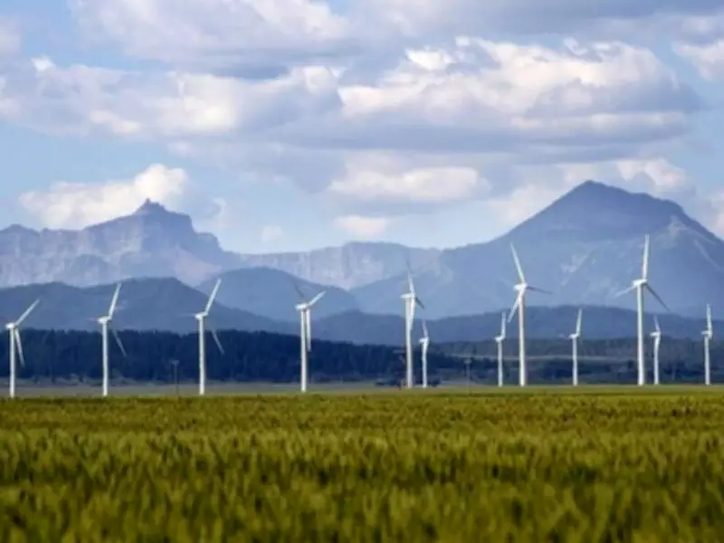 Alberta's Clean Energy Investment Collapse: A Self-Inflicted Economic Blow