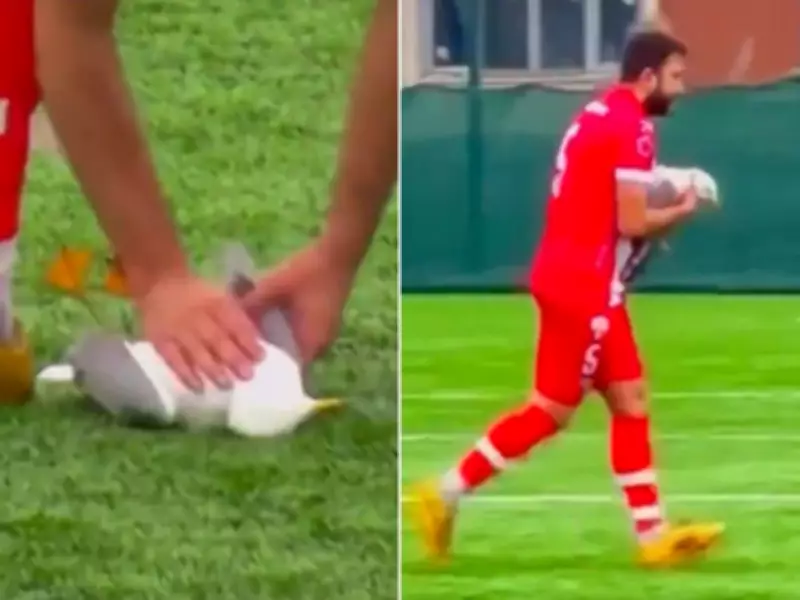Amateur Soccer Player Performs CPR on Seagull During Match in Turkiye