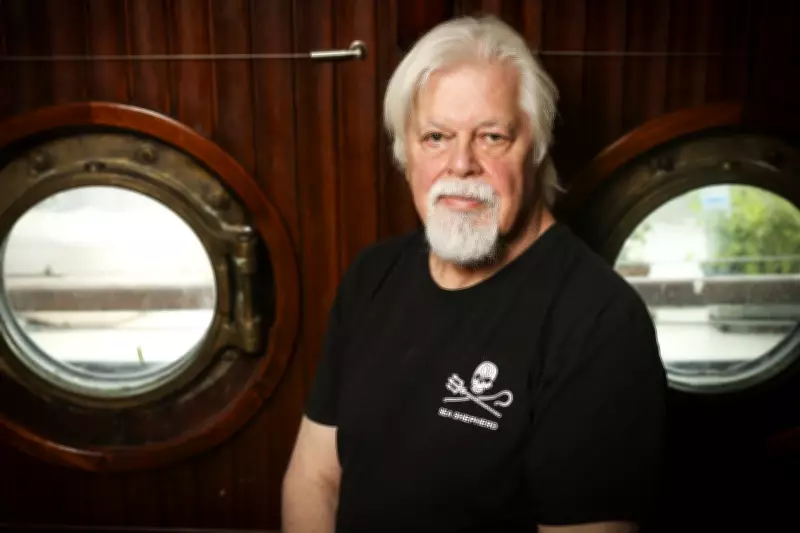 Anti-Whaling Activist Criticizes Nova Scotia's Proposed Whale Sanctuary