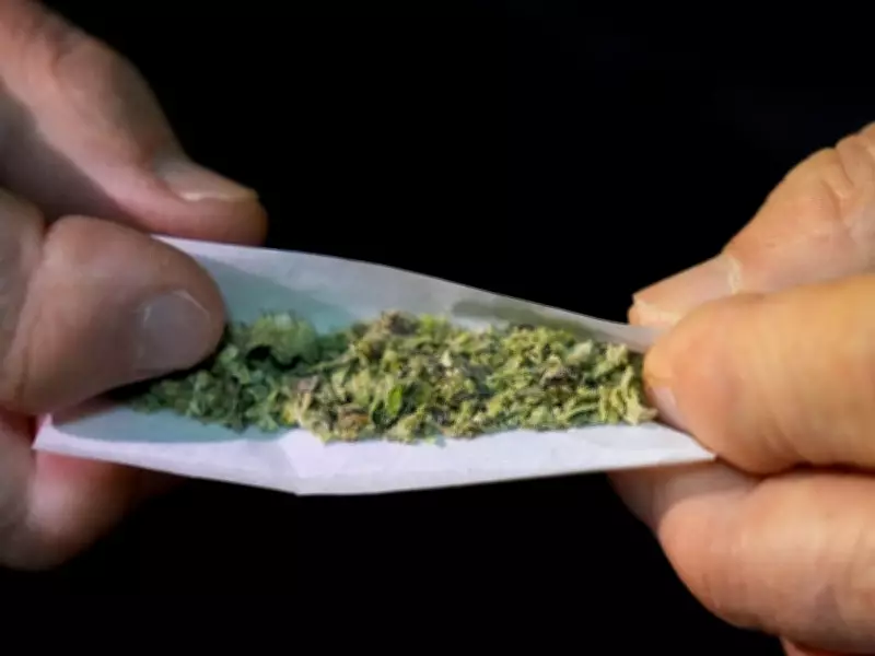 Arbitrator Reinstates Toronto Heavy Machine Operator Fired for Alleged Lunchtime Cannabis Use