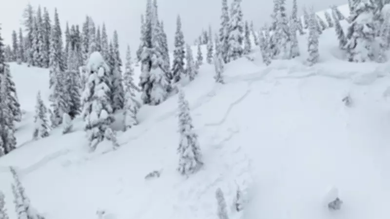 Avalanche Fatality Claims Snowmobiler Near Fernie, B.C., RCMP Reports