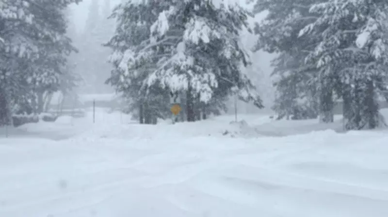 Avalanche in Northern California Leaves 10 Missing, 6 Found Alive Amid Severe Storm