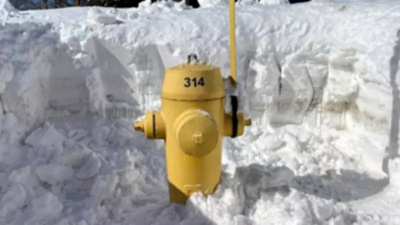 Barrie Urges Residents to Clear Buried Fire Hydrants for Safety