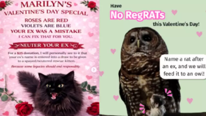BC Animal Charities Launch Creative Valentine's Day Fundraisers for Non-Romantics