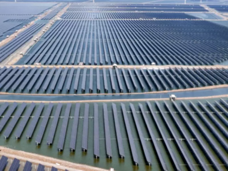 B.C. Climate Update: Solar Project Advances, Orca Calf Born Amid Environmental Shifts