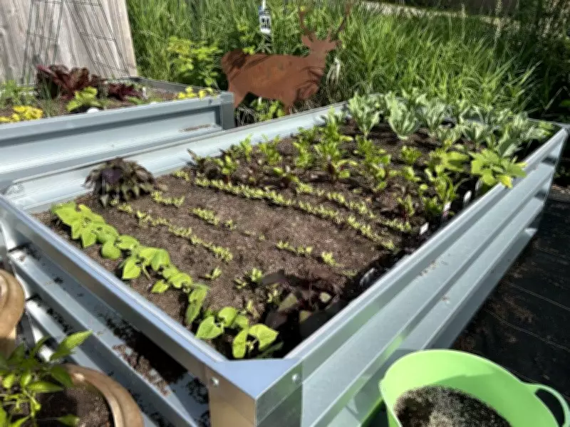 BC Home + Garden Show Offers Spring Gardening Tips and Expert Advice