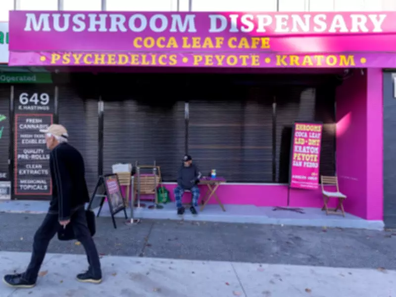 B.C. Judge Expresses Surprise as Police Enforce Drug Laws in Psilocybin Case