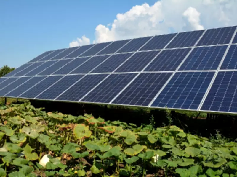 B.C. Solar Project Enters Environmental Review, Exempt from Fast-Track Process