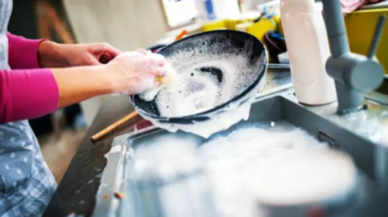 B.C. Tribunal Rules Unwashed Dishes Not Legally a Roommate-Created Nuisance