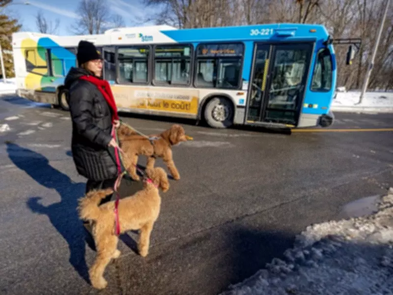 Beaconsfield Residents Voice Opposition to New 211X Bus Route on Montrose Avenue