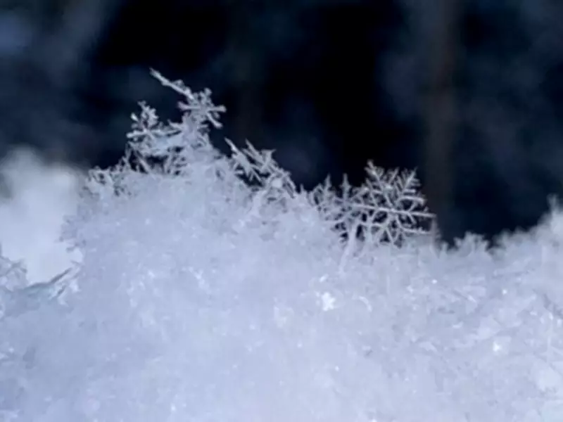 Blowing Snow to Disrupt Manitoba Rush Hour as Winter Weather Intensifies