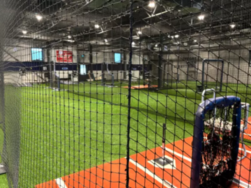 Blue Jays' Soaring Popularity Drives Surge in Local Baseball Enrollment