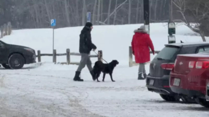 Bruce Pit Dog Park in Ottawa to Close Temporarily for Hydro Ottawa Infrastructure Work