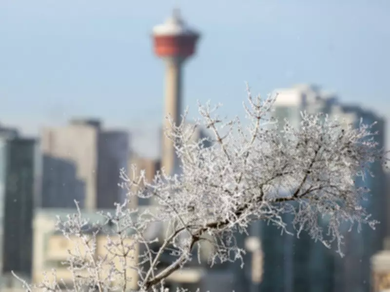 Calgary Among Few Cities Worldwide With Climate to Host Winter Olympics by 2050s