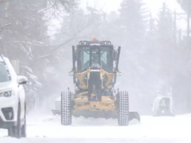 Calgary Braces for Heavy Snowfall: 15-30 cm Expected Thursday Night