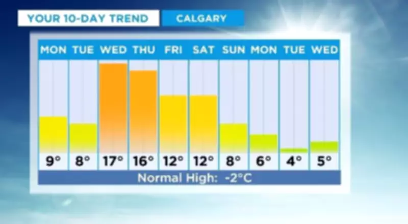 Calgary Braces for Spring-Like Warmth with Temperatures 20 Degrees Above Average