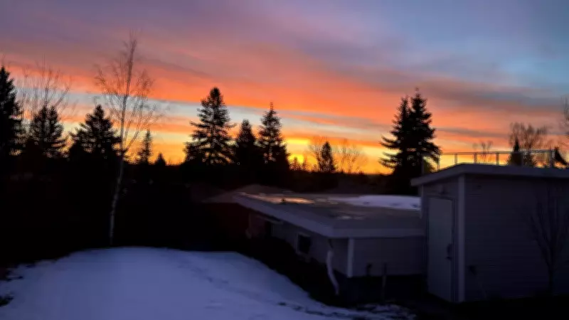 Calgary Braces for Unseasonably Warm February Temperatures