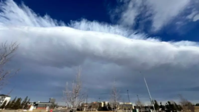 Calgary Braces for Unseasonably Warm Spring-Like Weather All Week