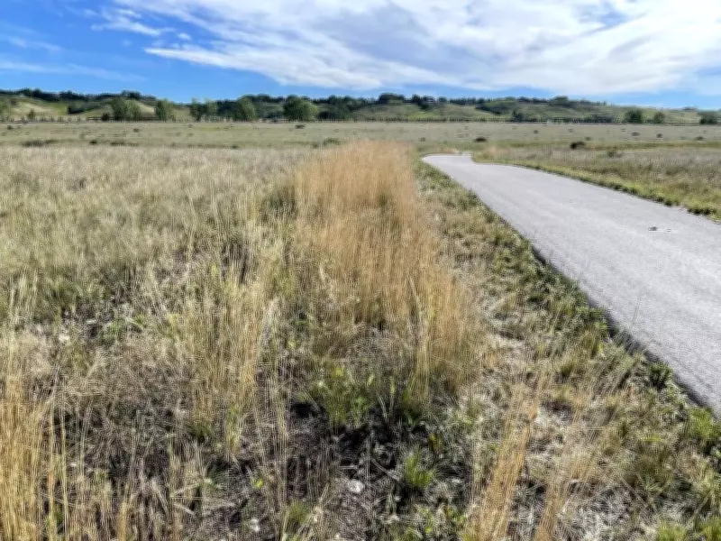 Calgary Councillor Proposes Regional Pathway Network to Airdrie and Cochrane