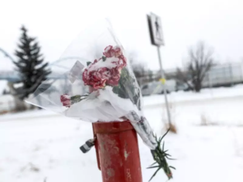 Calgary Faces Deadly Year for Traffic Fatalities, Urgent Action Needed
