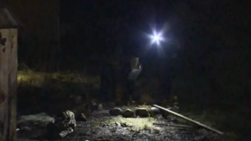 Calgary Firefighters Quickly Extinguish Northwest Shed Blaze, Investigation Underway