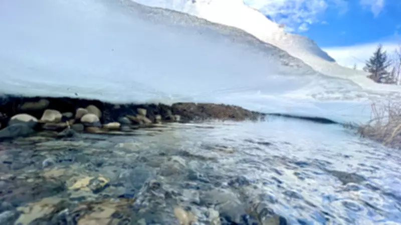 Calgary Weekend Forecast: Warm Temperatures to Continue, Slightly Cooler Than Recent Highs