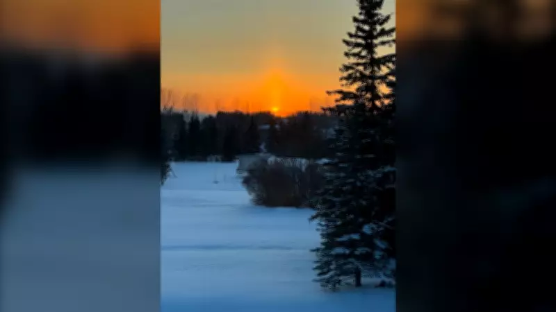 Calgary's Cold Snap Persists Saturday, Warmer Temperatures Expected by Sunday