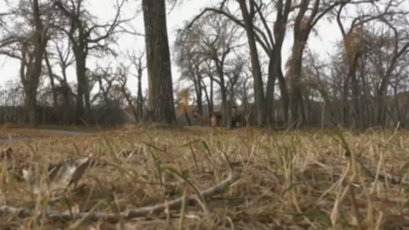 Calgary's Dry January Doesn't Guarantee Summer Drought, Experts Caution