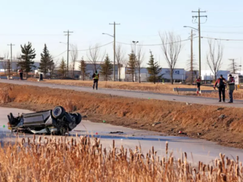 Calgary's Fifth Traffic Fatality of 2026: Young Driver Dies in Early-Morning Crash