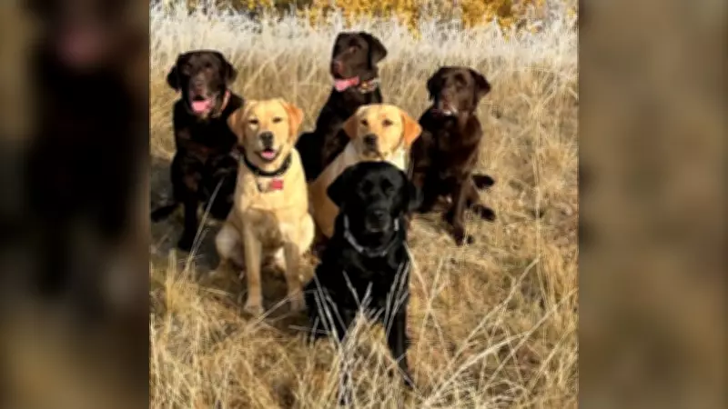 Calgary's Spring-Like Warm Spell to Give Way to Below-Freezing Temperatures Next Week