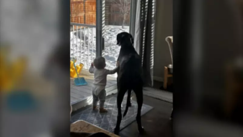 Calgary's Sunny Wednesday Forecast: Chilly Start, Bright Day Ahead