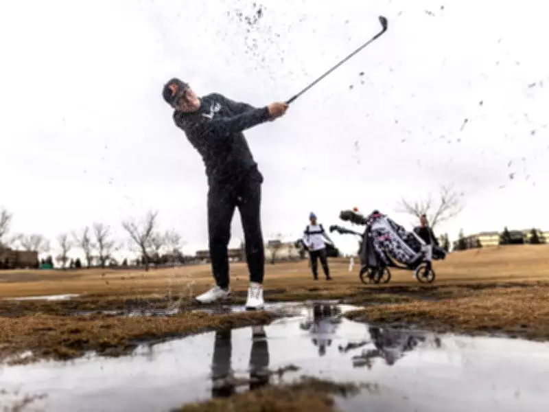 Calgary's Unseasonable February Warmth Deemed 'Abnormal' by Meteorologists