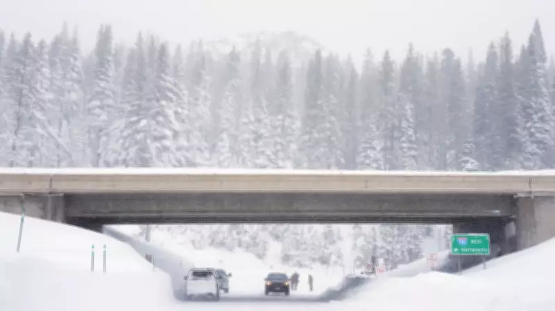 California Avalanche Tragedy Claims Lives of Ski Guides and Parents