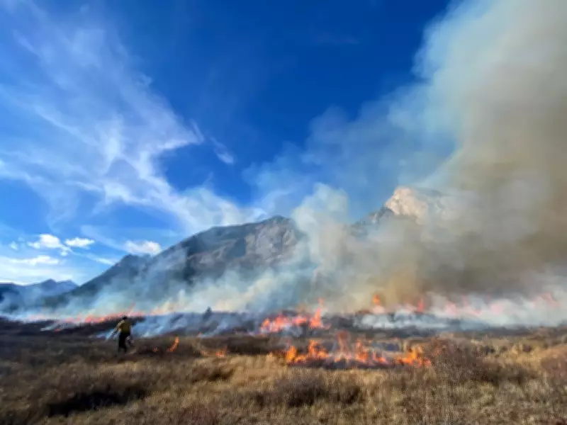 Canada Launches $8M Prescribed Fire Training Program to Combat Wildfires