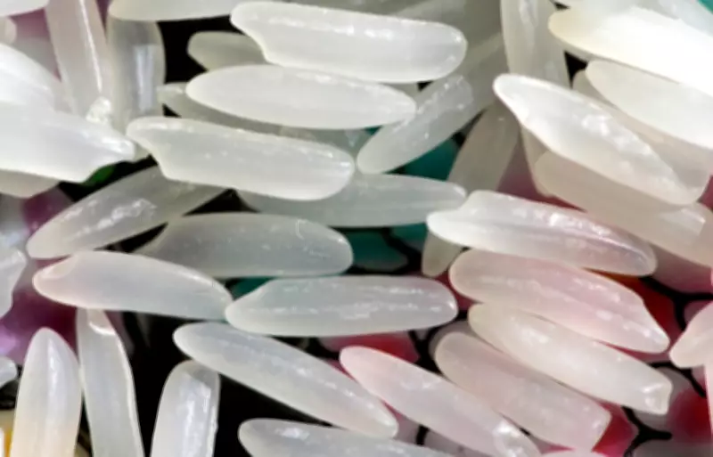 Chilling Carbs for Weight Loss: What Science Reveals About Resistant Starch