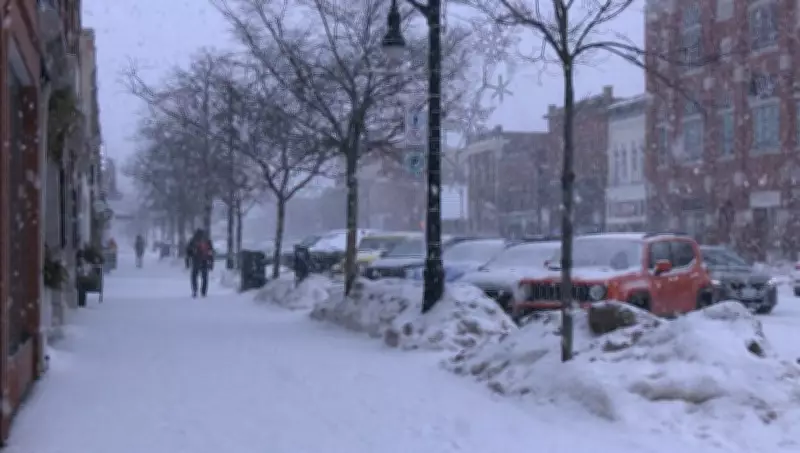 Collingwood Council Debates: Pause Downtown Patios to Solve Parking Crisis?