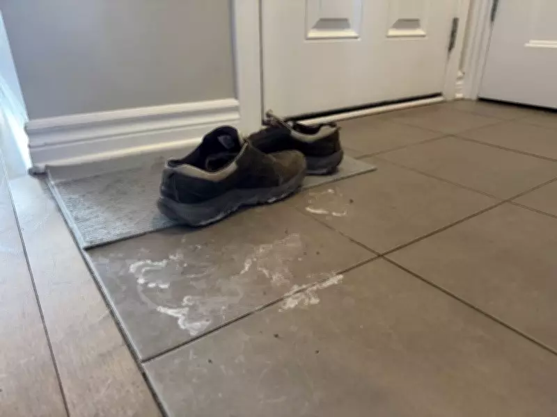 Combat Winter's Indoor Annoyances: Salt Stains, Dust Mites, and Humidity