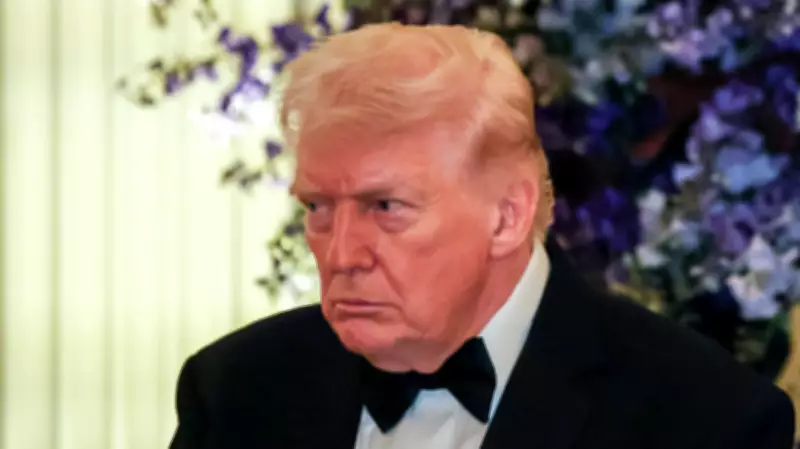 Comedian Tim Dillon Delivers Blunt Reality Check to MAGA Supporters