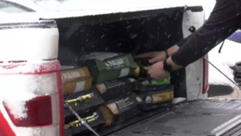 Community Rallies to Support P.E.I. Humane Society After 43 Dogs Seized