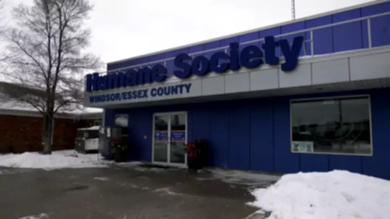 Court Orders New Election at Windsor-Essex Humane Society After Members Barred