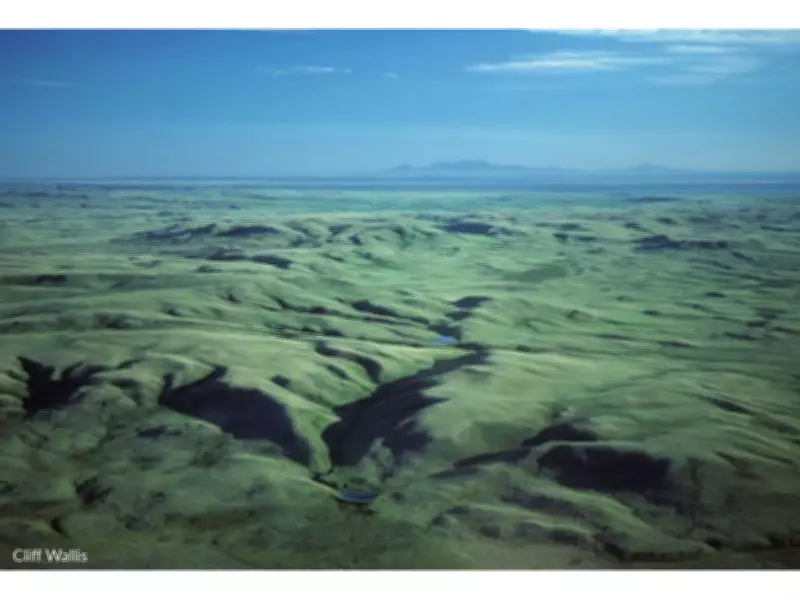 CWF Campaign Reveals Hidden World of Canada's Vanishing Grasslands