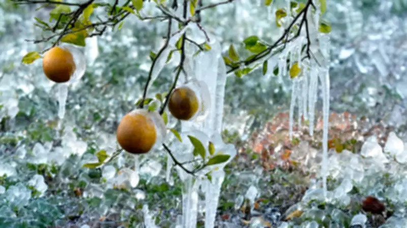 Dangerous Cold Persists Across Eastern U.S. After Bomb Cyclone