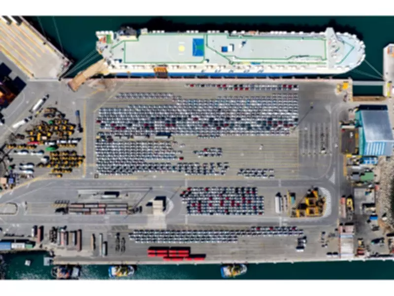 DP World Sets Chilean Record with Largest Vehicle Discharge at San Antonio Terminal