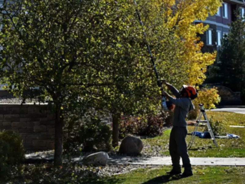 Edmonton Committee Hears Strong Support for Tree Protection Bylaw Amid Development Debate
