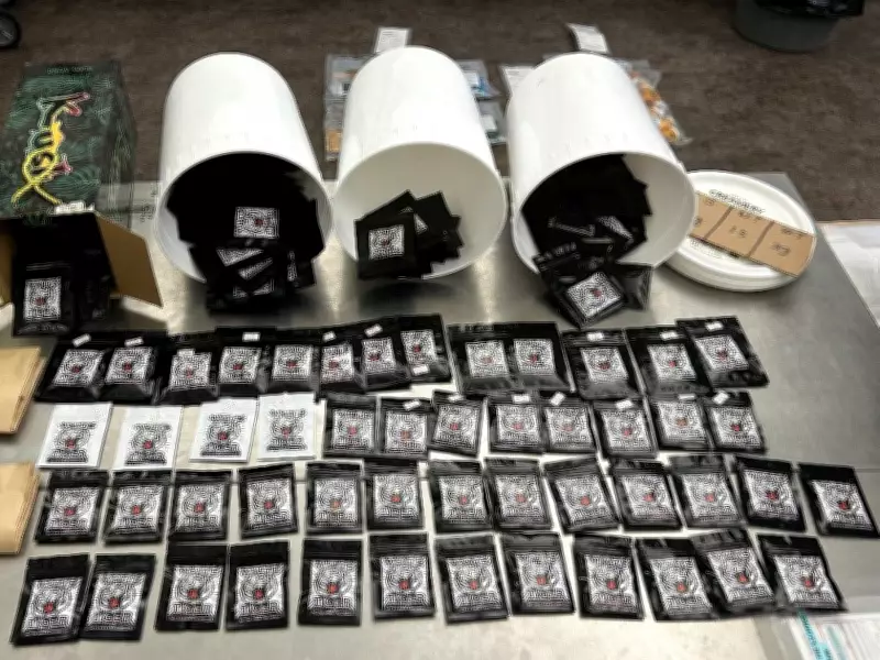 Edmonton Police Seize $109,400 in Weapons, Drugs, and Designer Goods in Raids