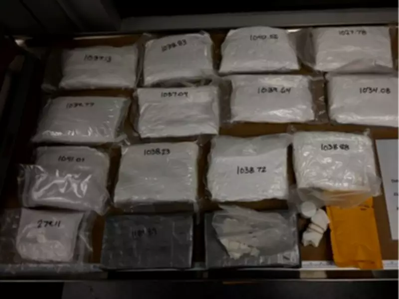Edmonton Police Seize Cocaine, $126K Cash in Major Drug Bust