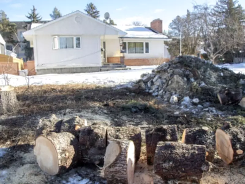 Edmonton's Mature Tree Protection Bylaw Faces Criticism Amid Canopy Loss Concerns
