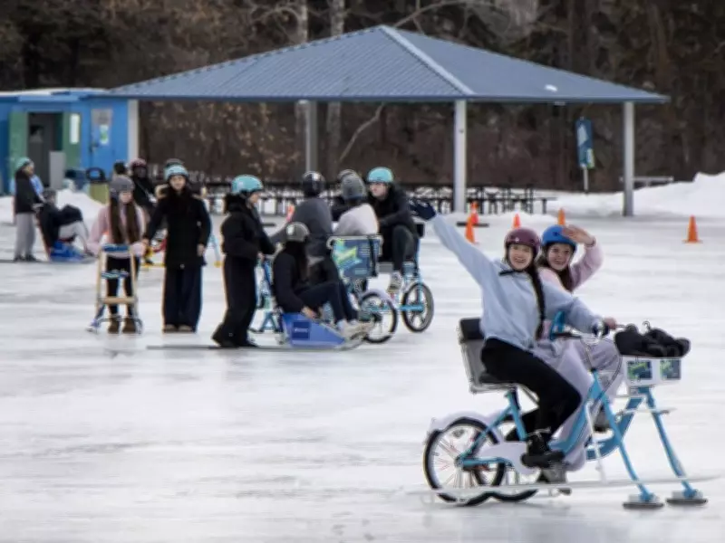 Edmonton's Winter Delights: Silver Skate Festival, Lunar New Year & Big Sugar