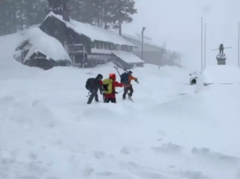 Eight Skiers Found Dead After Avalanche Near Lake Tahoe, One Still Missing